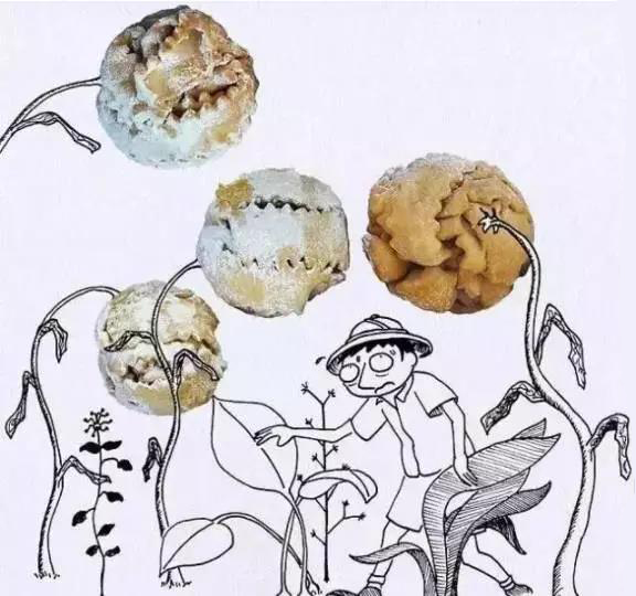 餐赢计策划设计公司