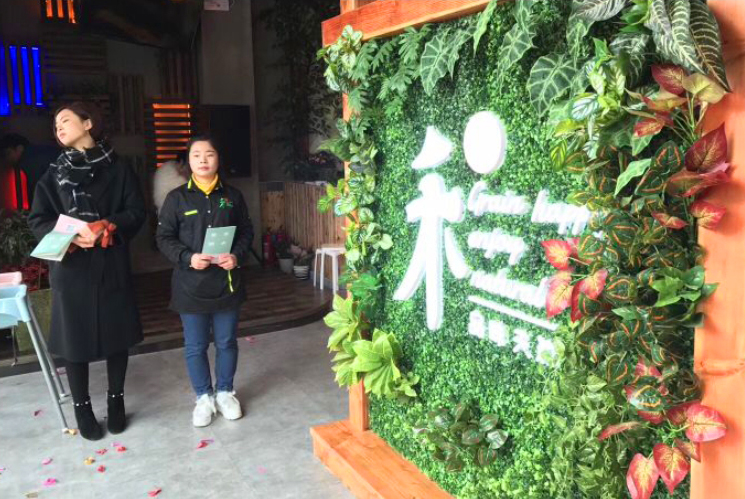 禾π生态餐厅实体店绿植搭配 禾π生态餐厅实体店绿植搭配