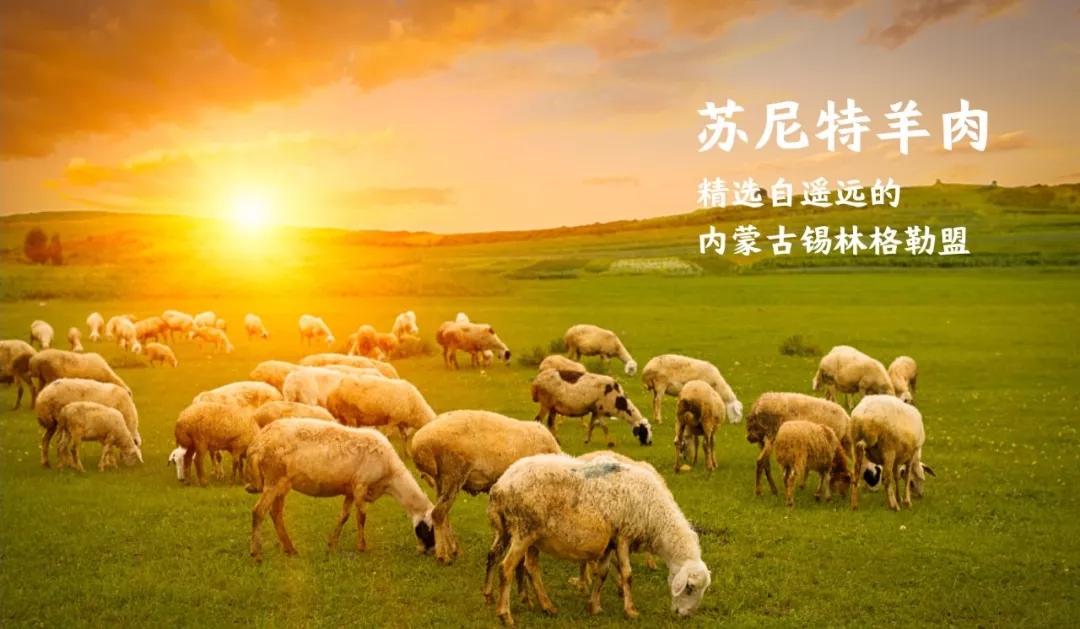 东莞连锁餐饮品牌火官烧烤食材来源 东莞连锁餐饮品牌火官烧烤食材来源