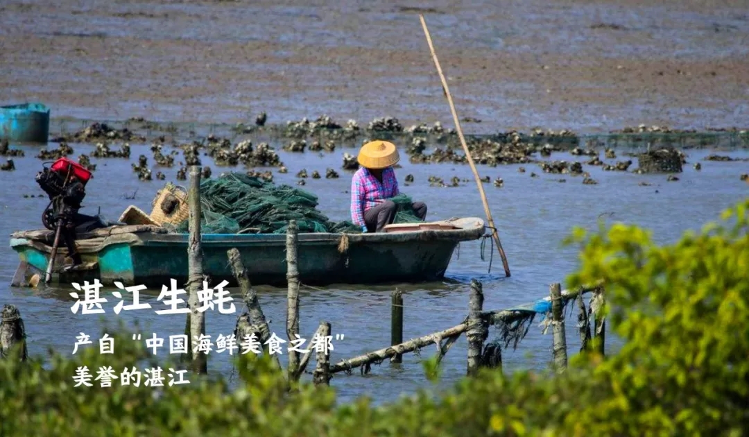 东莞连锁餐饮品牌火官烧烤食材来源介绍