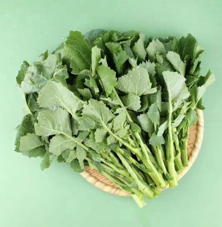 深圳餐饮vi设计，深圳logo设计,深圳餐饮空间设计，板蓝根青菜水饺，深圳餐饮策划设计